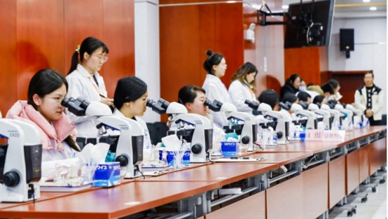 提升專業(yè)能力